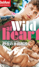 WILD AT HEART -DVD- 【新作予約】